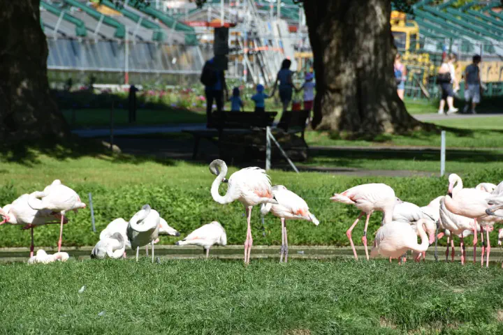 Stuttgart, Deutschland - Photo 2