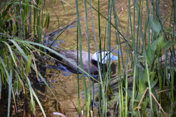 Stuttgart, Deutschland - Photo 3