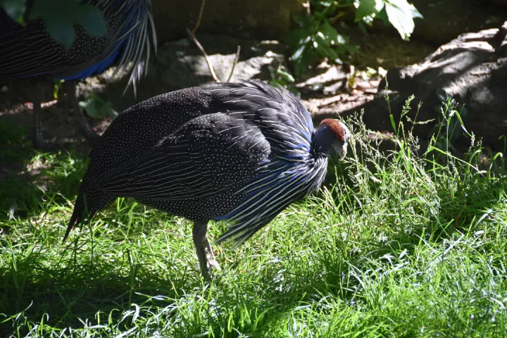 Stuttgart, Deutschland - Photo 4