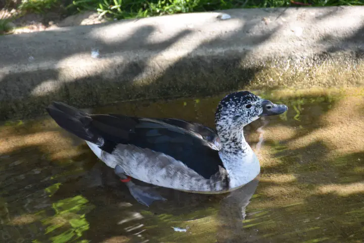 Stuttgart, Deutschland - Photo 5