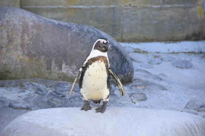 Stuttgart, Deutschland - Photo 6