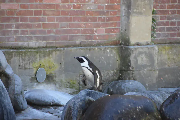 Stuttgart, Deutschland - Photo 7