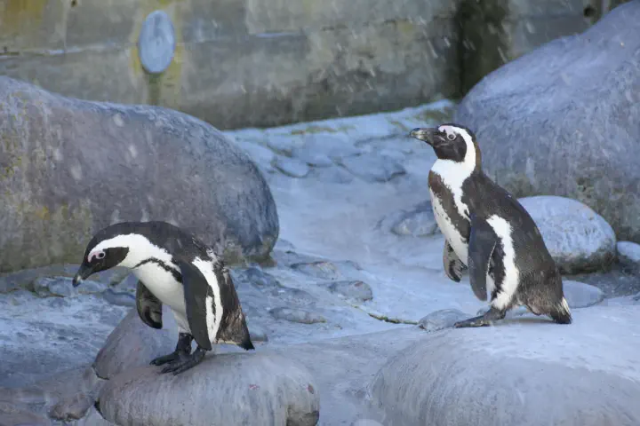 Stuttgart, Deutschland - Photo 8