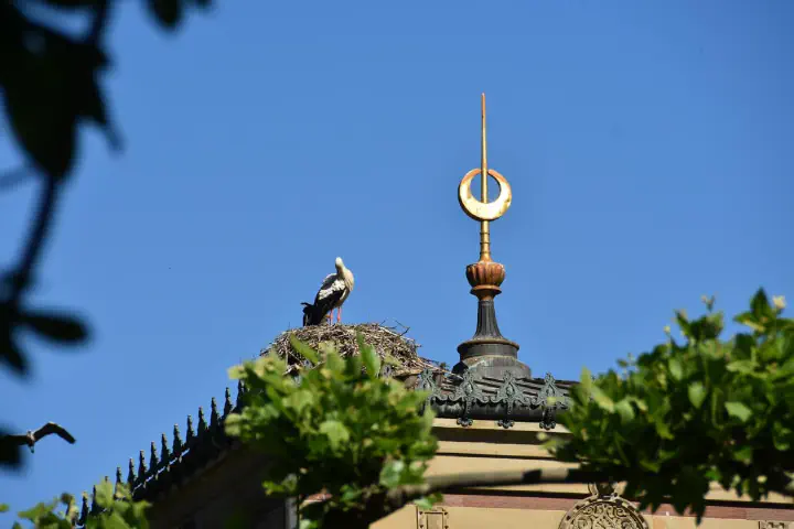 Stuttgart, Deutschland - Photo 10