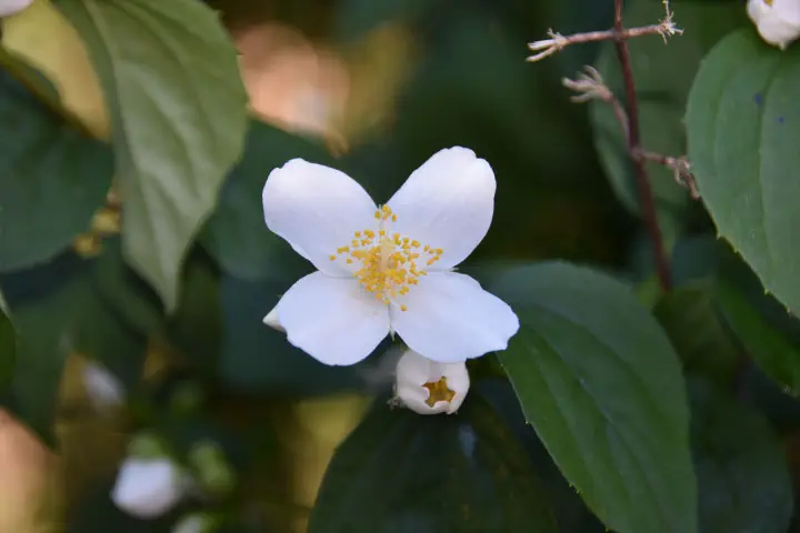 Stuttgart, Deutschland - Photo 11