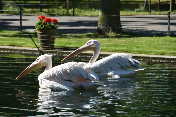 Stuttgart, Deutschland - Photo 14