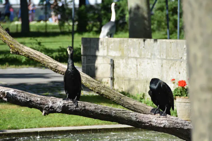 Stuttgart, Deutschland - Photo 15