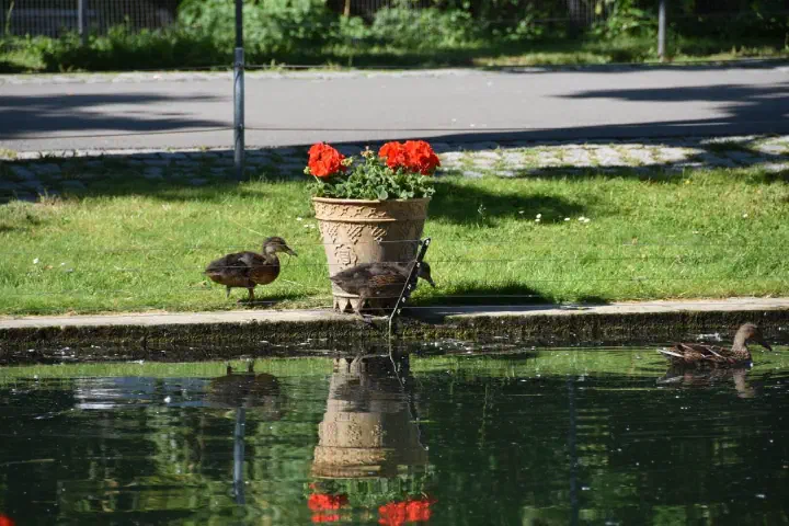 Stuttgart, Deutschland - Photo 16