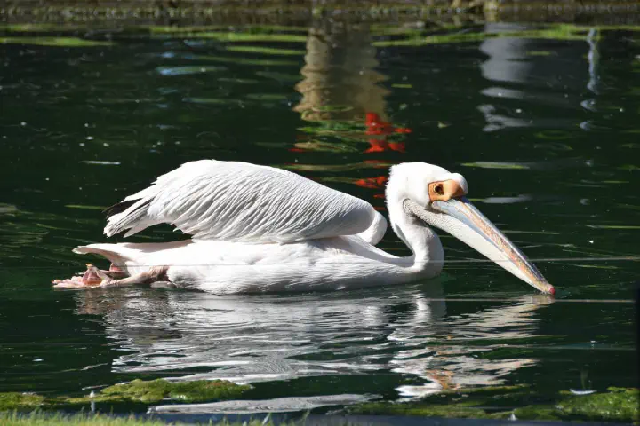 Stuttgart, Deutschland - Photo 17