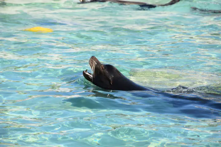 Stuttgart, Deutschland - Photo 18