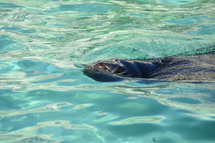 Stuttgart, Deutschland - Photo 19