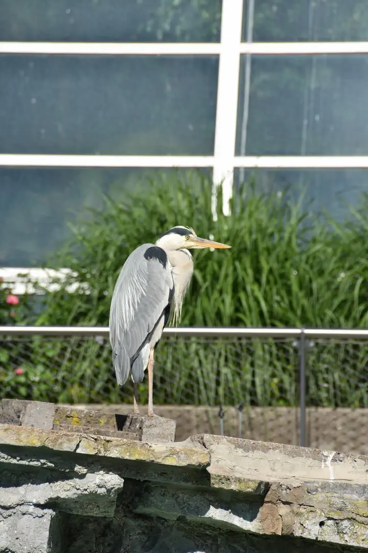 Stuttgart, Deutschland - Photo 20