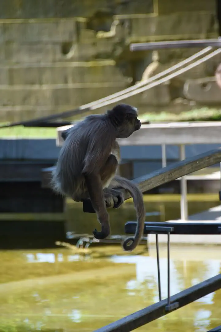 Stuttgart, Deutschland - Photo 24