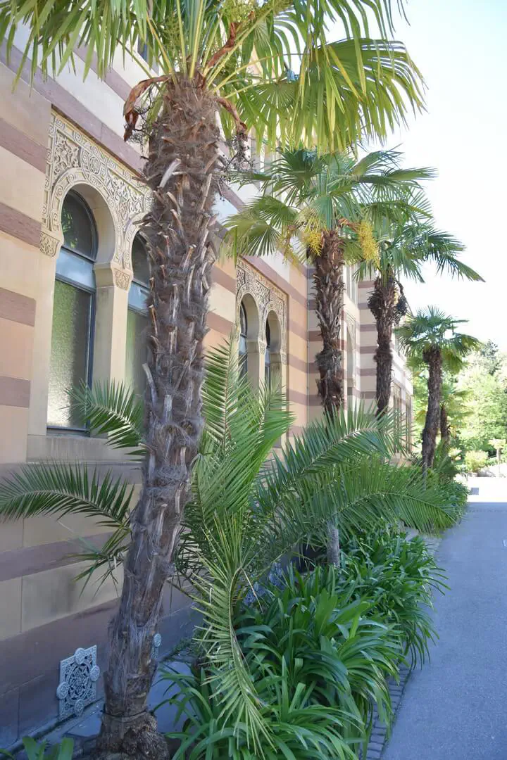 Stuttgart, Deutschland - Photo 26