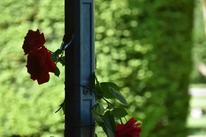 Stuttgart, Deutschland - Photo 34