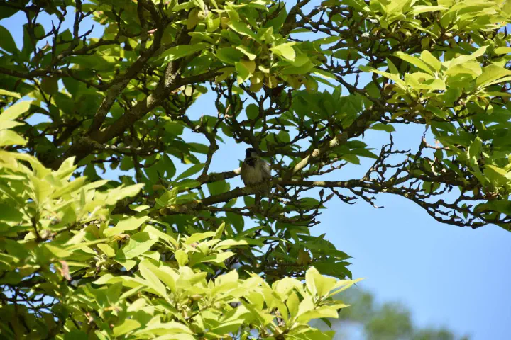 Stuttgart, Deutschland - Photo 35