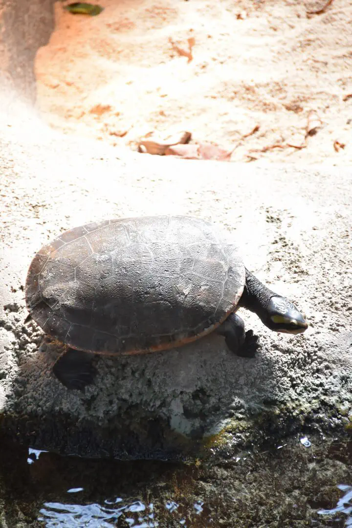 Stuttgart, Deutschland - Photo 36