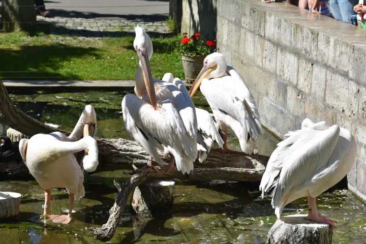 Stuttgart, Deutschland - Photo 37