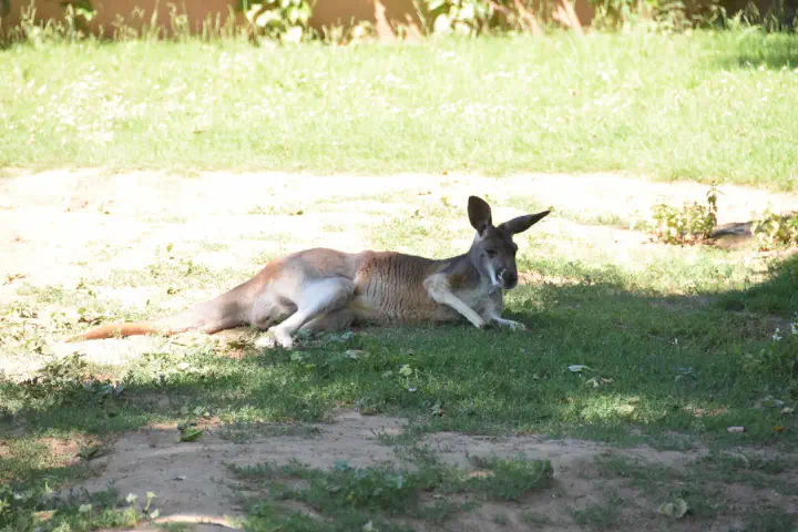 Stuttgart, Deutschland - Photo 38