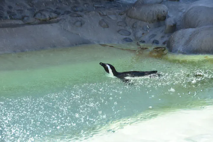 Stuttgart, Deutschland - Photo 39