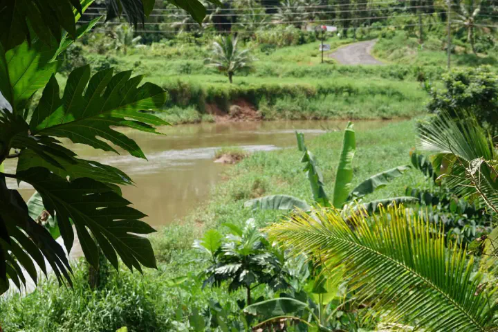 Suva, Fidschi - Photo 5