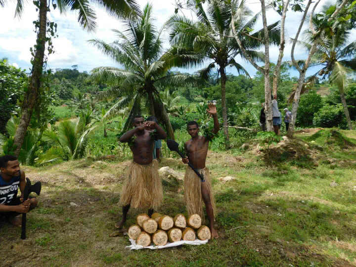 Suva, Fidschi - Photo 11