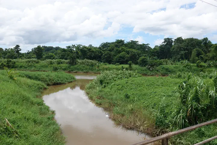 Suva, Fidschi - Photo 17