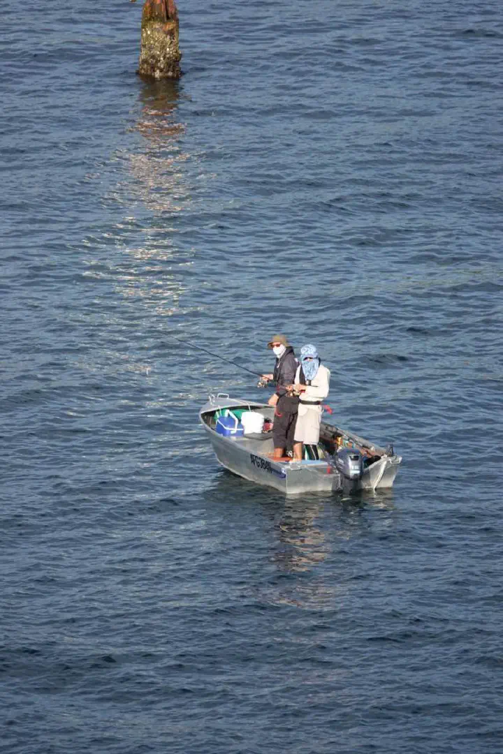 Sydney, Australien - Photo 8