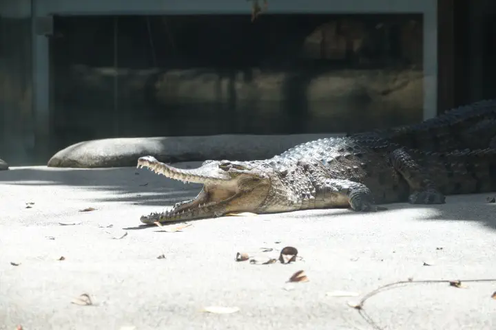 Sydney, Australien - Photo 42