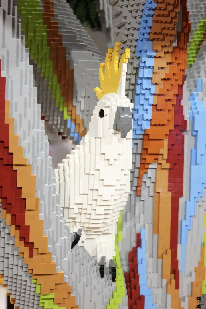 Sydney, Australien - Photo 28