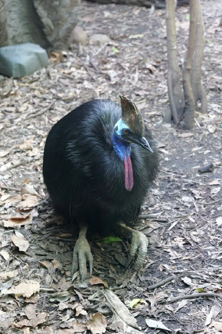 Sydney, Australien - Photo 6