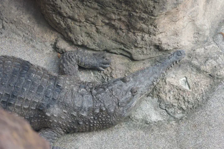 Sydney, Australien - Photo 9