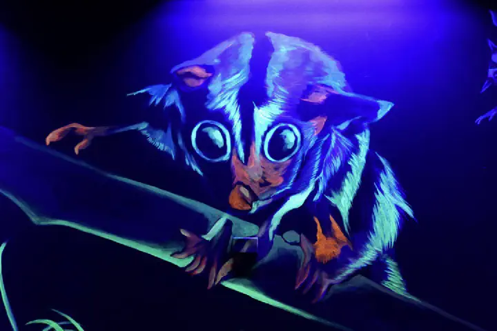 Sydney, Australien - Photo 11