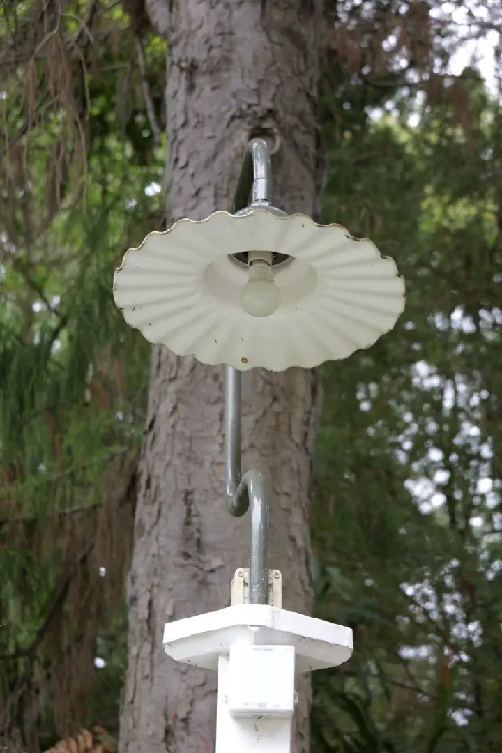 Tauranga, Neuseeland - Photo 10