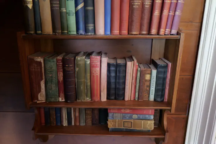 Tauranga, Neuseeland - Photo 23