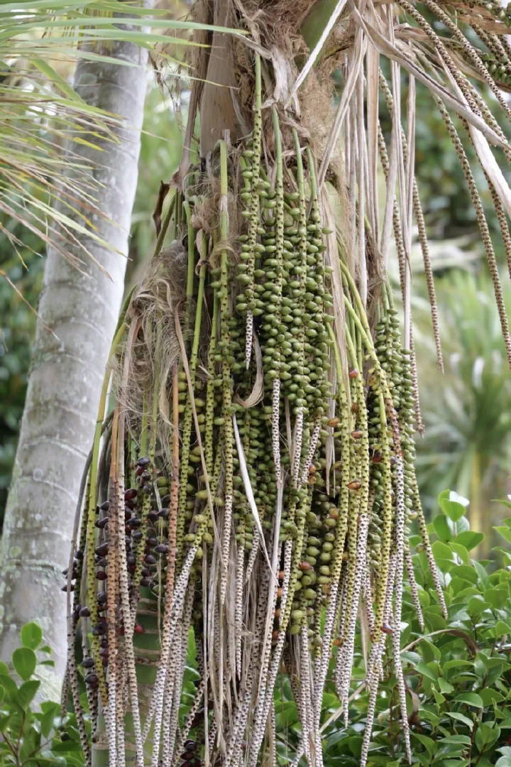 Tauranga, Neuseeland - Photo 32