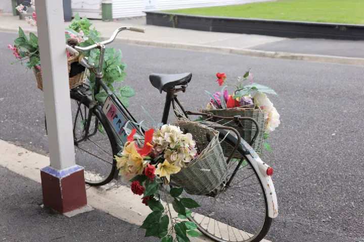 Tauranga, Neuseeland - Photo 39