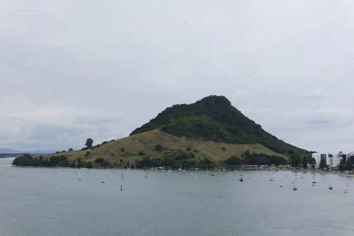 Tauranga, Neuseeland - Photo 43
