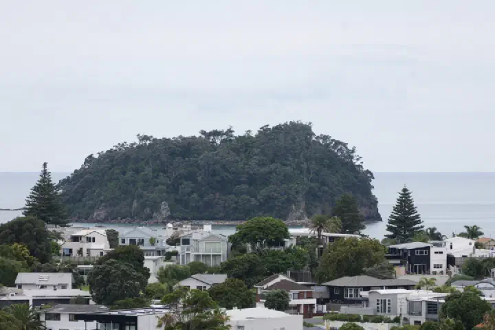 Tauranga, Neuseeland - Photo 45