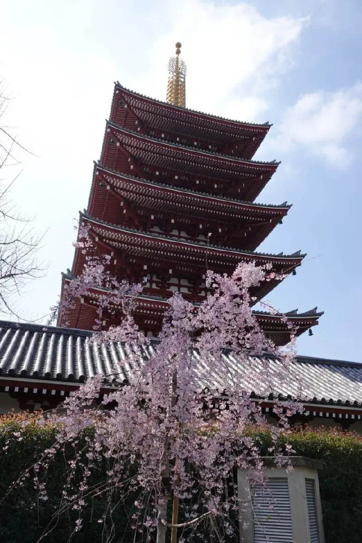 Tokio, Japan - Photo 16