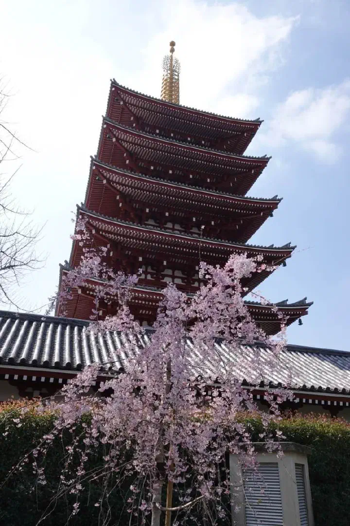Tokio, Japan - Photo 16