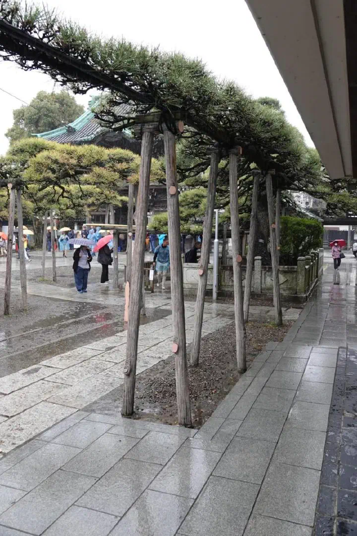 Tokio, Japan - Photo 4