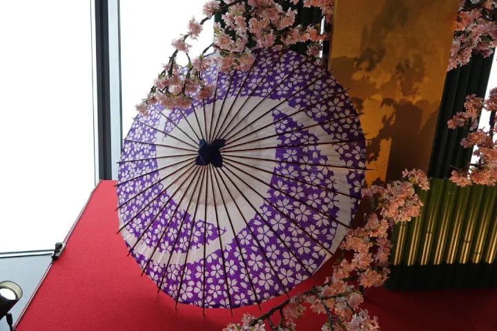 Tokio, Japan - Photo 12