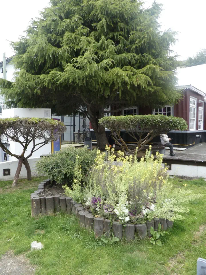 Ushuaia, Argentinien - Photo 36