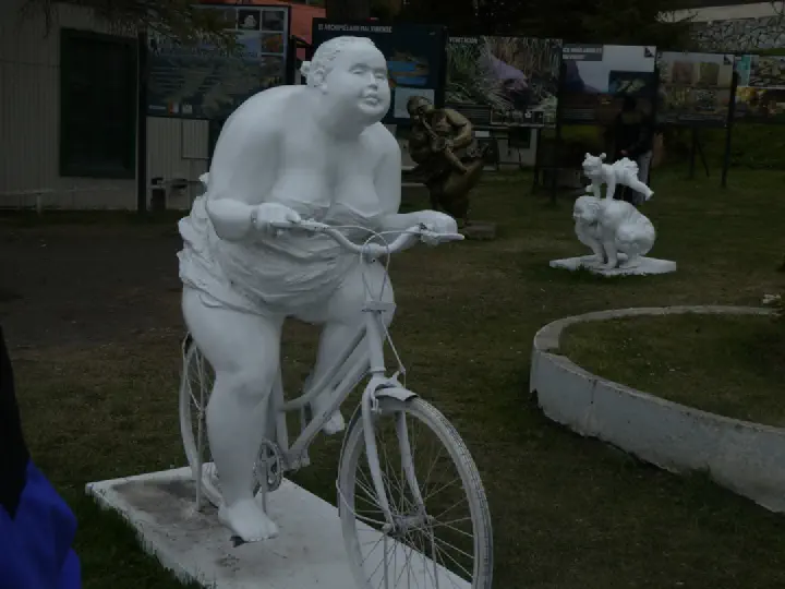 Ushuaia, Argentinien - Photo 43