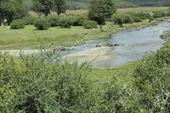 Ushuaia, Argentinien - Photo 26