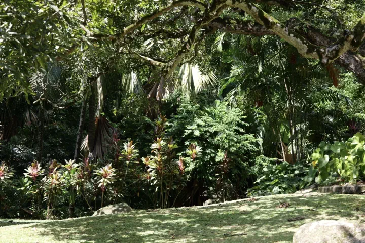 Victoria, Seychellen - Photo 5