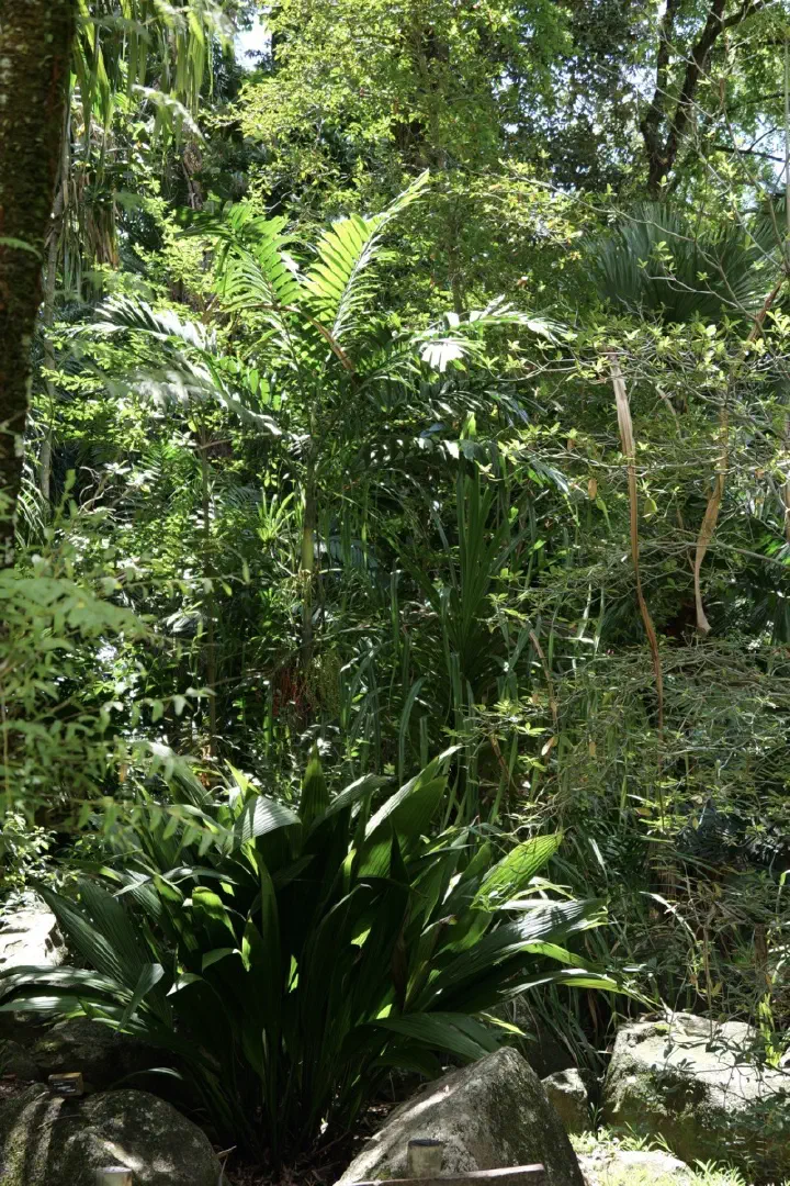 Victoria, Seychellen - Photo 17
