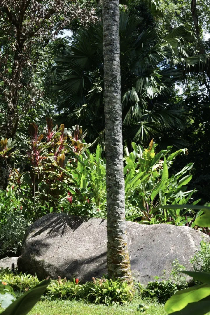 Victoria, Seychellen - Photo 21
