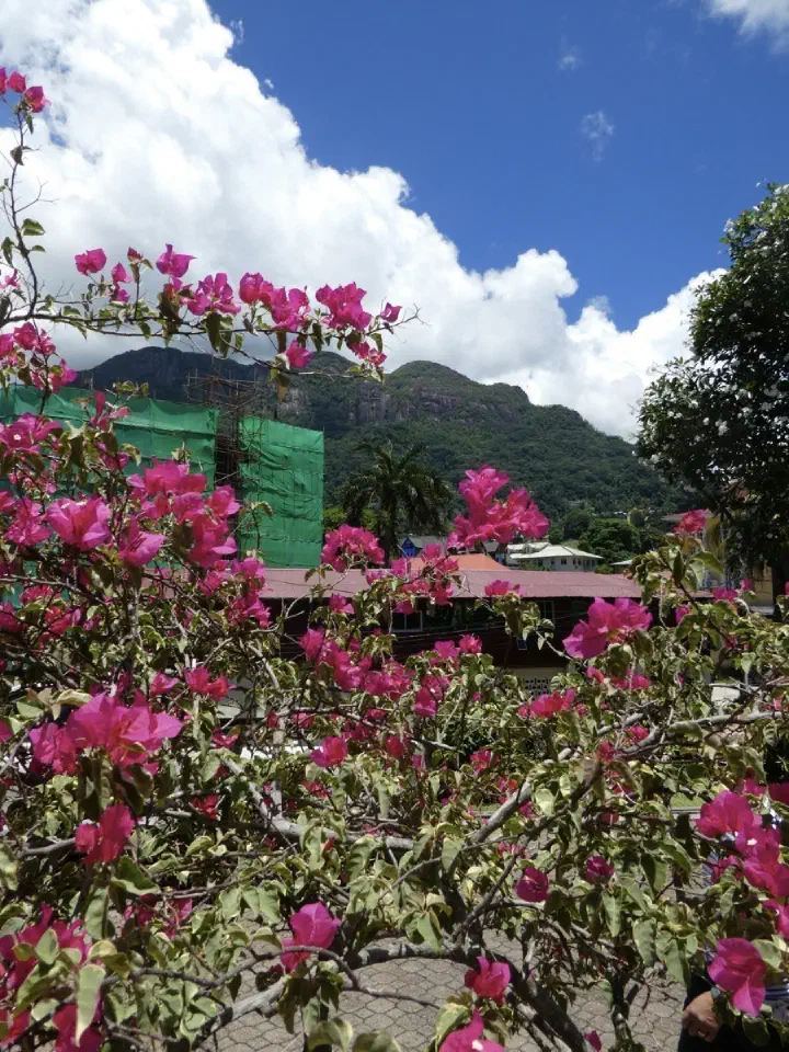 Victoria, Seychellen - Photo 50